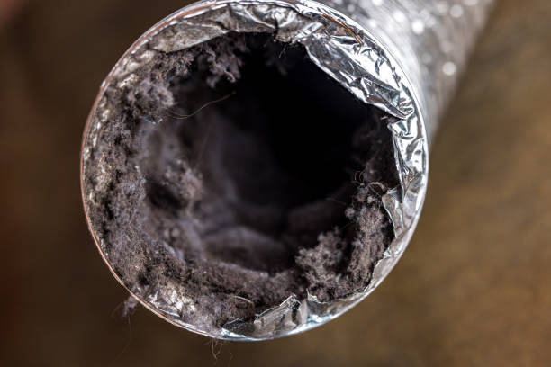 Best Air Duct Cleaning Near Me  in Sebring, OH